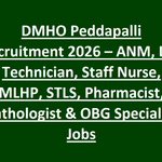 DMHO Peddapalli Recruitment 2026 – ANM, Lab Technician, Staff Nurse, MLHP, STLS, Pharmacist, Pathologist & OBG Specialist Jobs